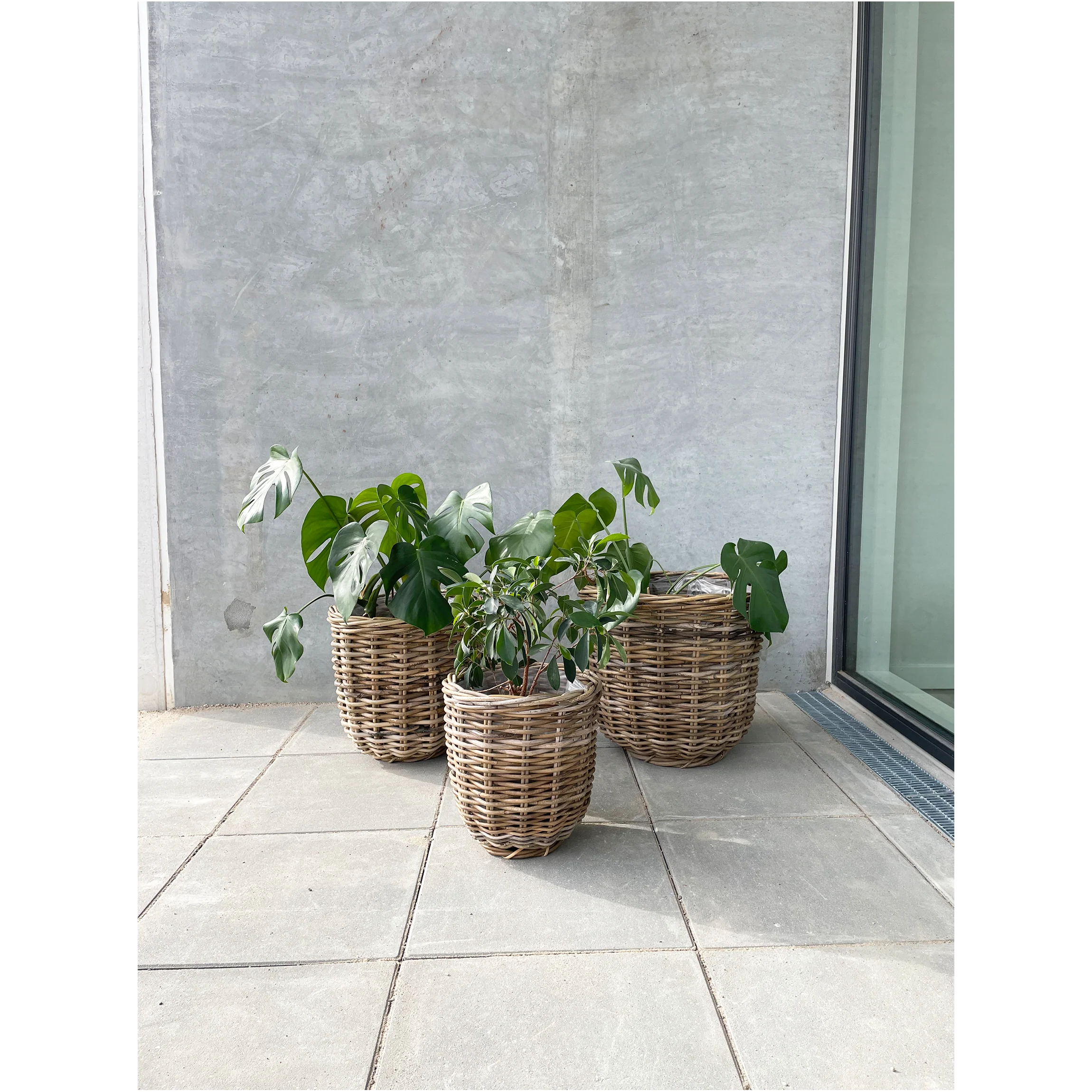 Lilli flätade korgar i ljus naturlig färg - 29 cm, 36 cm, 43 cm - Image 3